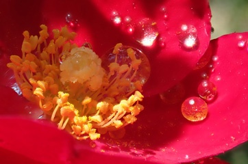 P1124665a.jpg